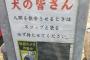 犬の皆さんにお願いです。
