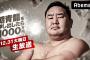 【相撲】元朝青龍の対戦相手、最後の１人がガチガチすぎてヤバイｗｗｗｗｗ