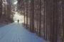 嫁が車使うかもしれないから雪道を1時間歩いて通勤。職場の人達が「可哀相な生き物を見る目」で俺を見てきた。日常なんだけどな