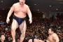 鶴竜 10勝4敗 ○○○○○○○○○○●●●● ←これ 	
