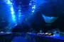 【衝撃】ＤＭＭの水族館の経済効果がとんでもないｗｗｗ