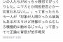 【悲報】twitter民、自分の意見をJKに喋らせる 	