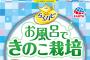 アース製薬が「お風呂できのこ栽培」を緊急販売