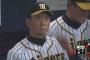 金本監督、投手陣にブチ切れ