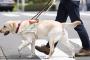 電車に乗ると、盲導犬が座っていた→DQNおばさん『やだ！私犬無理なのよ！いるなら乗るんじゃなかったわ～』私（うわあ…）→すると、女の子が来て・・・・・・