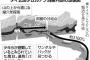 【速報】タイ、一人逝く