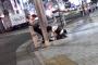 【画像】路上で男がまんさんに土下座をさせてしまう…