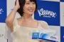 【悲報】新垣結衣さん、ティッシュ大臣に任命