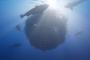 海洋探索アドベンチャー『Beyond Blue』美しくも不気味な海中を探索する約50分もの環境映像が公開！