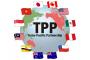 【驚愕】韓国「TPPに加入、検討してやってもいいぞ！」