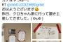 【悲報】安田大サーカス・クロちゃん、Twitter民に凸され通報してしまうww