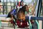 【チャンピオンズC】3歳馬ルヴァンスレーヴ完勝！ ダート界の頂点に輝く！【動画】