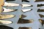 米司法省が日本の水産会社をサメの密漁容疑で刑事告訴（海外の反応）