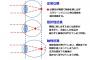 コンタクトの定期検査したら右目1.2、左目1.0で左目だけ視力下がってた。これ以上悪くなって失明したらどうしよう…