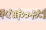 【悲報】『レコ大』の乃木坂に”9割”が疑問「なぜUSAじゃないの？」「審査基準は？」