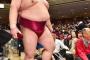 【朗報】稀勢の里さん、これだけ休場して負け続けても歴代最低横綱ではなかった 	