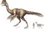 【画像】ティラノサウルス、最新アップデートwwwwww