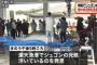 【辺野古とは本島を挟んで反対側】ジュゴンの死骸漂着...沖縄・古宇利島周辺で生息の個体か ⇒「安倍 ジュゴン」で検索した結果