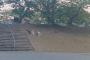 【画像】山口県でヤバすぎる公園が見つかる…