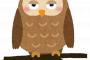 【画像あり】鳴き声が美輪明宏さんなフクロウが見つかるｗｗｗｗｗｗｗｗｗｗｗｗｗｗ