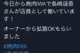 【悲報？】元AKB48ぱるること島崎遥香が焼肉IWAでバイト！！！！！