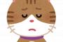 【埼玉】中1男子「猫を飼っていて避難できない！！！」→ 結果・・・・・