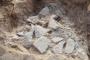 中国の秦咸陽城遺跡で石片をつなぎ合わせて作った「石製よろい」工房遺構を発見！