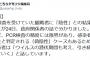【速報】K-1、PCR検査を受けていた観戦者「陰性」