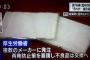 【悲報】アベノマスク、「汚れ付着」「虫が混入」など不良品の報告相次ぐ