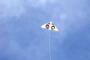 ブラジルで21歳のサイドバックに悲劇…遊んでいた凧が送電線に触れ感電死