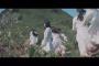 【櫻坂46】デビュー曲「Nobody's fault」MV公開！これでNiziUに勝てるのか？