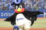 ここ3年の東京ヤクルトスワローズの貯金推移w.w.w.w.w.w.w.w