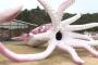 【悲報】石川県「コロナ対策の交付金で何使おうかなーせや！ｗｗｗｗｗｗｗｗｗｗ」