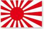 【韓国】 「旭日旗使ったら最大懲役10年」…共に民主党最高委員が法案を発議