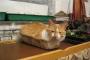 【ねこ】 いくら狭いところが好きと言ってもｗ