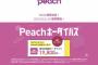 【画像】peachさん、1ヶ月19800円で飛行機乗り放題券を販売してしまうｗｗｗｗｗｗｗ