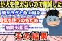 【2chキチガイスレ】ガスコンロに触るのもだめ…嫁が原始人みたいに火を使うことを怖がる→原因を調べていくと、そこには驚愕の真実が隠されていた…【ゆっくり解説】