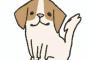 【あらー】今日のうちの犬、作画崩壊なうｗｗｗｗｗｗｗｗ