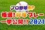 12月29日(水)朝6時から「プロ野球好珍プレー」があるぞ！