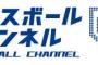 【FAプロテクト予想2021】ソフトバンクへ又吉克樹がFA移籍、人的補償は誰？　中日の補強ポイントを軸に考察【ベースボールチャンネル】