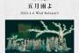 【悲報】櫻坂46 4thシングル「五月雨よ」週間ダウンロード数2,586・・・