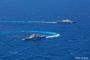 カリブ海では米海軍のフリーダム級沿海域戦闘艦2隻が対麻薬作戦を実施中！