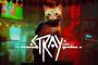 【Stray】面白い？評価感想まとめ