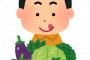 『糖尿病』と診断されたワイが、野菜を毎日600～1kg食べ続けてた結果ｗｗｗｗｗｗ
