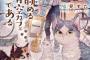 ラノベ「江ノ島は猫の島である」予約開始！猫と人がくつろげるカフェで癒やしのひとときを