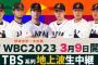 【悲報】TBSのWBCテーマ曲、地味に不評だった