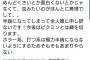 【悲報】超人気100万人YouTuber、ピクミン4を途中でやめた理由がこれｗｗｗｗ