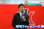 【独立BCリーグ 】アルビレックス新潟BCが来季からNPB2軍へ参入申請