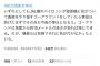 JAL元機長で航空評論家「機長が着陸寸前に気付いてゴーアラウンドしてれば事故は防げてた」  [271912485]