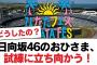 日向坂46のおひさま、試練に立ち向かう！【日向坂・日向坂で会いましょう】